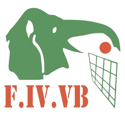 Logo Fédération Ivoirienne de Volley-Ball